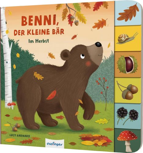 Anja Kiel: Mein erstes Jahreszeitenbuch: Benni, der kleine Bär, Buch