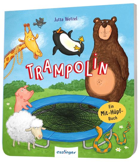 Jutta Wetzel: Trampolin, Buch