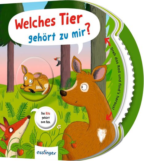 Cover/Produkt Ansicht vergrößern