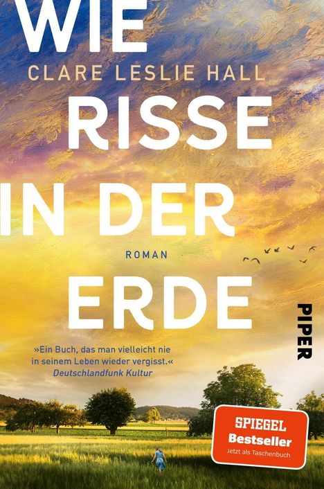 „Wie Risse in der Erde“ von Clare Leslie Hall, Roman. Zitat: „Ein Buch, das man vielleicht nie vergisst.“ Feldlandschaft bei Sonnenuntergang.