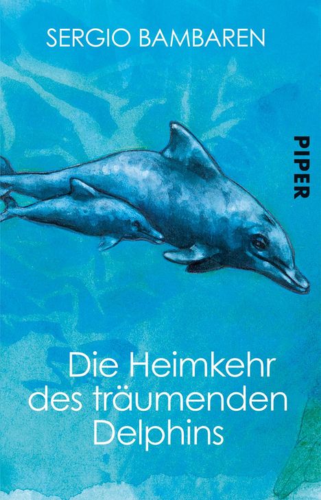 Sergio Bambaren: Die Heimkehr des träumenden Delphins, Buch