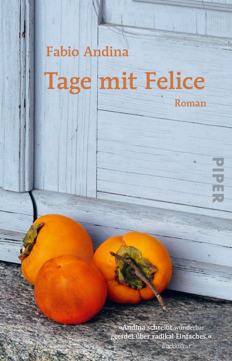 Fabio Andina: Tage mit Felice, Buch