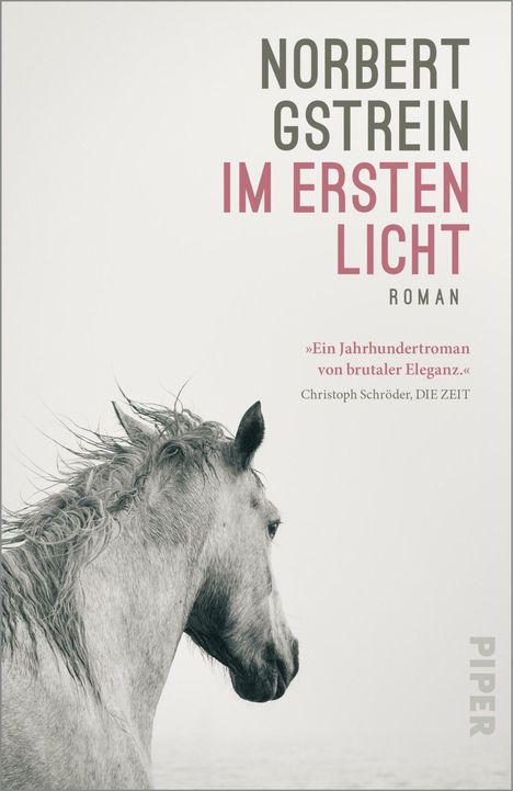 "Norbert Gstrein Im Ersten Licht. Ein Jahrhundertroman von brutaler Eleganz." Christoph Schröder, DIE ZEIT. Pferdeprofil.