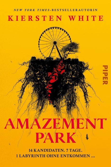 Kiersten White: Amazement Park, Buch