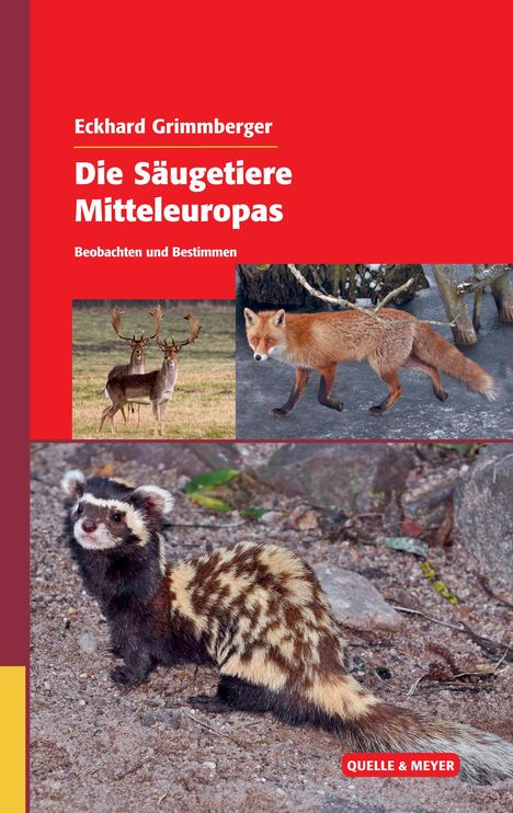 Eckhard Grimmberger: Die Säugetiere Mitteleuropas, Buch