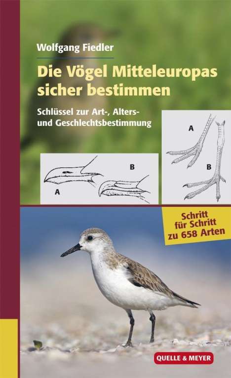 Wolfgang Fiedler: Fiedler, W: Vögel Mitteleuropas sicher bestimmen 1, Buch