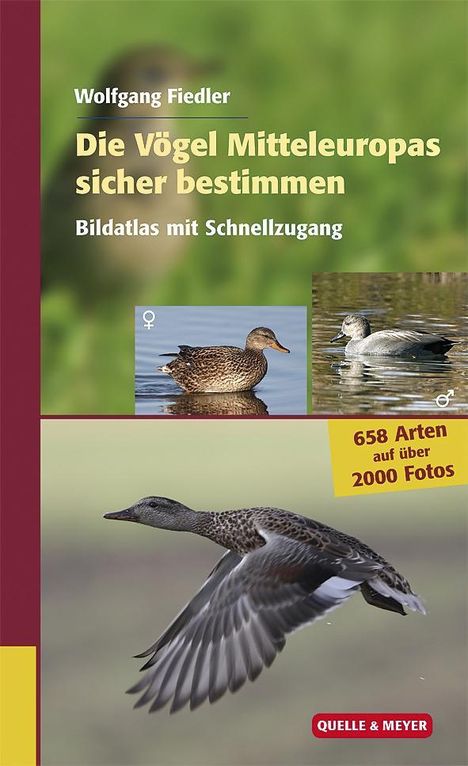 Wolfgang Fiedler: Fiedler, W: Vögel Mitteleuropas sicher bestimmen 2, Buch