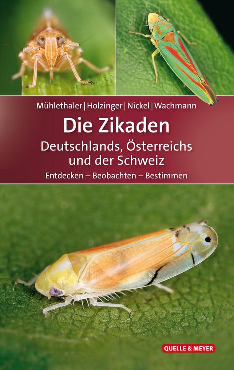 Roland Mühlethaler: Die Zikaden Deutschlands, Österreichs und der Schweiz, Buch