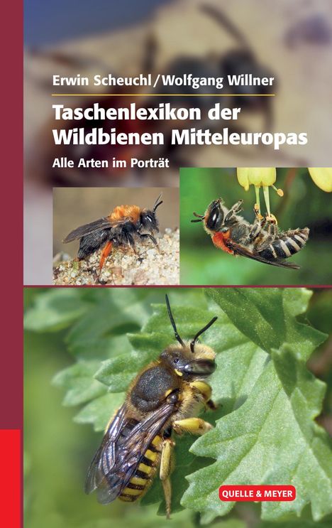 Erwin Scheuchl: Taschenlexikon der Wildbienen Mitteleuropas, Buch