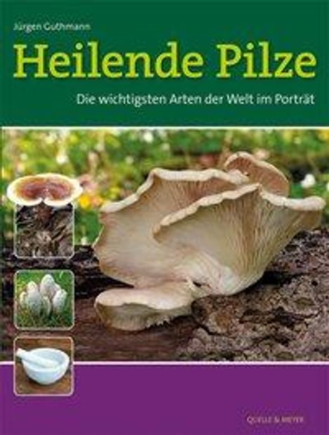 Jürgen Guthmann: Heilende Pilze, Buch