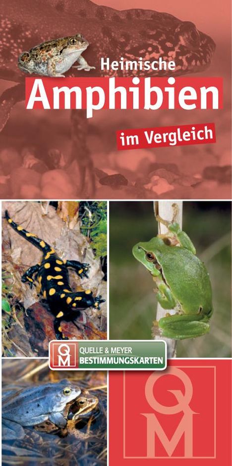 Heimische Amphibien im Vergleich, Buch