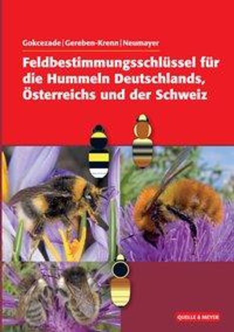 Joseph Gokcezade: Feldbestimmungsschlüssel für die Hummeln Deutschlands, Österreichs und der Schweiz, Buch