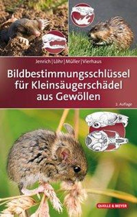 Joachim Jenrich: Bildbestimmungsschlüssel für Kleinsäugerschädel aus Gewöllen, Buch
