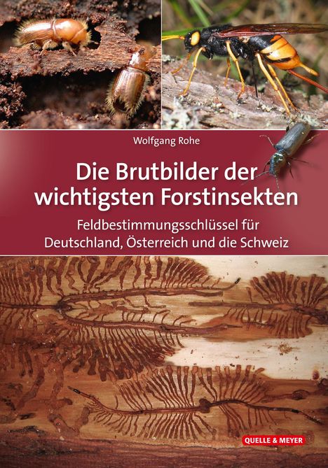 Wolfgang Rohe: Rohe, W: Brutbilder der wichtigsten Forstinsekten, Buch