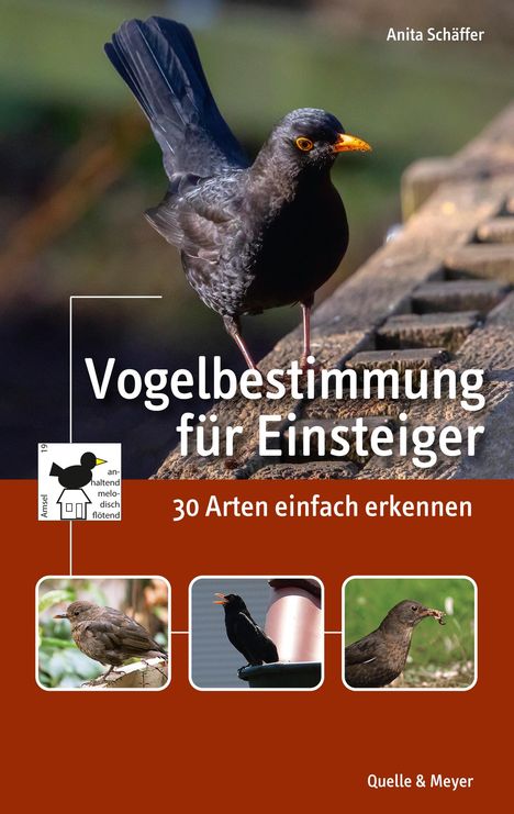 Anita Schäffer: Vogelbestimmung für Einsteiger, Buch