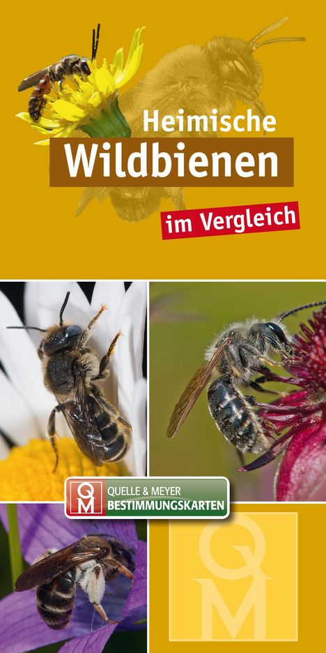 Heimische Wildbienen, Buch