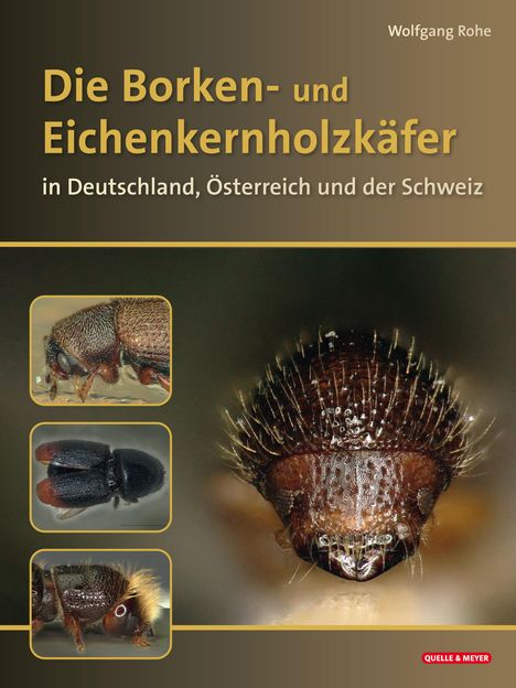Wolfgang Rohe: Die Borken- und Eichenkernholzkäfer, Buch