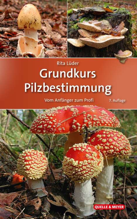 Rita Lüder: Grundkurs Pilzbestimmung, Buch