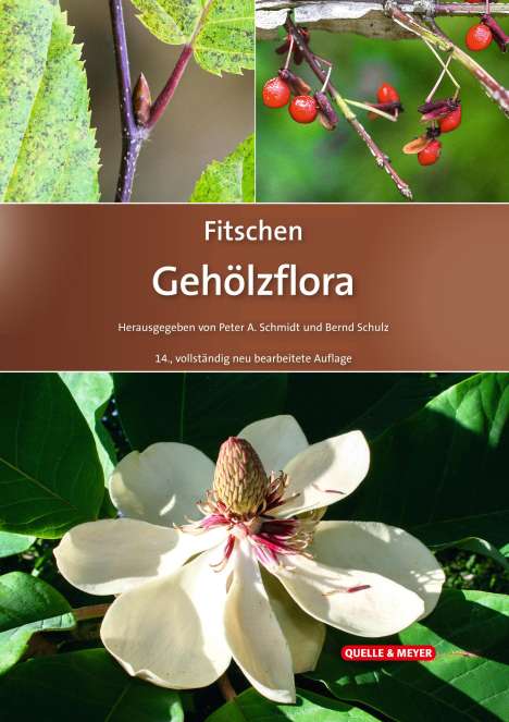 Fitschen - Gehölzflora, Buch