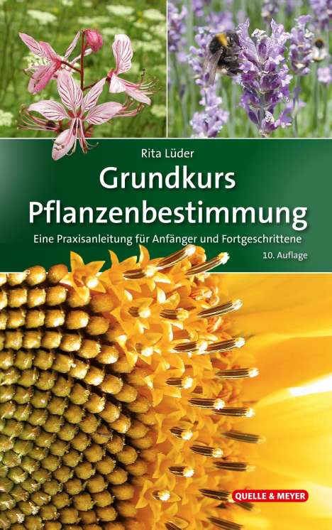 Rita Lüder: Grundkurs Pflanzenbestimmung, Buch