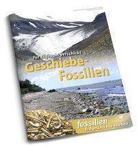Jens Lehmann: Geschiebe-Fossilien, Buch