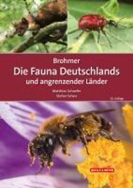 Brohmer - Die Fauna Deutschlands und angrenzender Länder, Buch