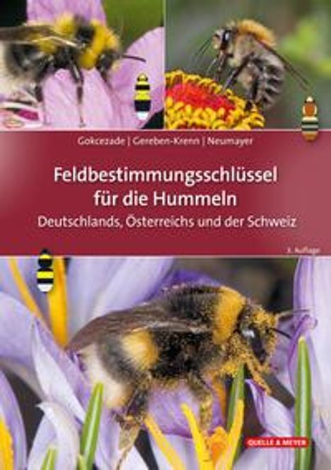 Joseph Gokcezade: Feldbestimmungsschlüssel für die Hummeln Deutschlands, Österreichs und der Schweiz, Buch