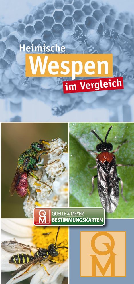 Heimische Wespen, Buch