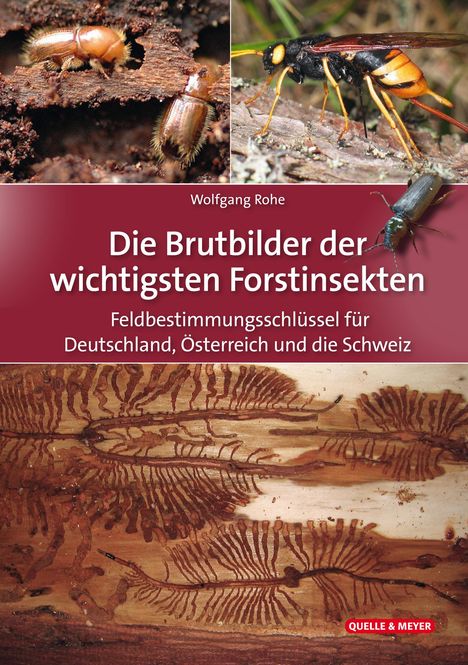Wolfgang Rohe: Die Brutbilder der wichtigsten Forstinsekten, Buch