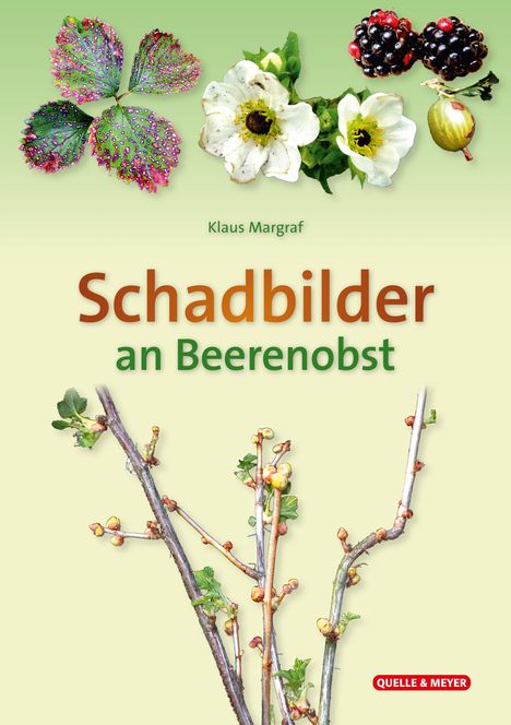 Klaus Margraf: Schadbilder an Beerenobst, Buch