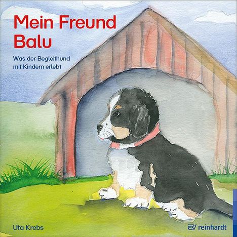 Uta Krebs: Mein Freund Balu, Buch