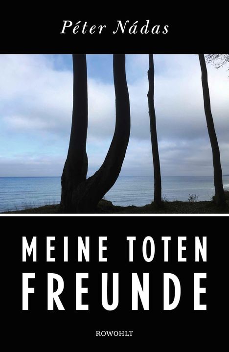 "Péter Nádas, Meine Toten Freunde, Rowohlt"; Silhouetten von Bäumen vor einem bewölkten Himmel und Meer.