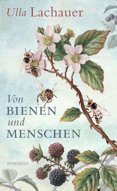 Ulla Lachauer: Lachauer, U: Von Bienen und Menschen, Buch