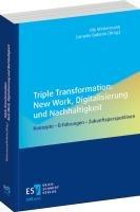 Triple Transformation: New Work, Digitalisierung und Nachhaltigkeit, Buch