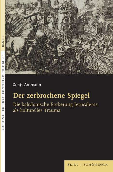 Sonja Ammann: Der zerbrochene Spiegel, Buch