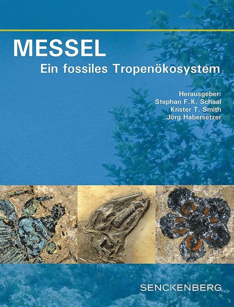 MESSEL - Ein fossiles Tropenökosystem, Buch