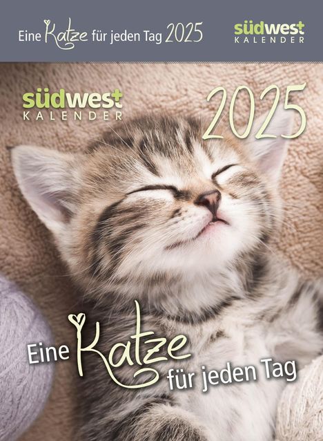 Eine Katze für jeden Tag 2025 - Tagesabreißkalender zum Aufstellen oder Aufhängen, Kalender