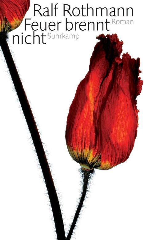 Ralf Rothmann: Feuer brennt nicht, Buch
