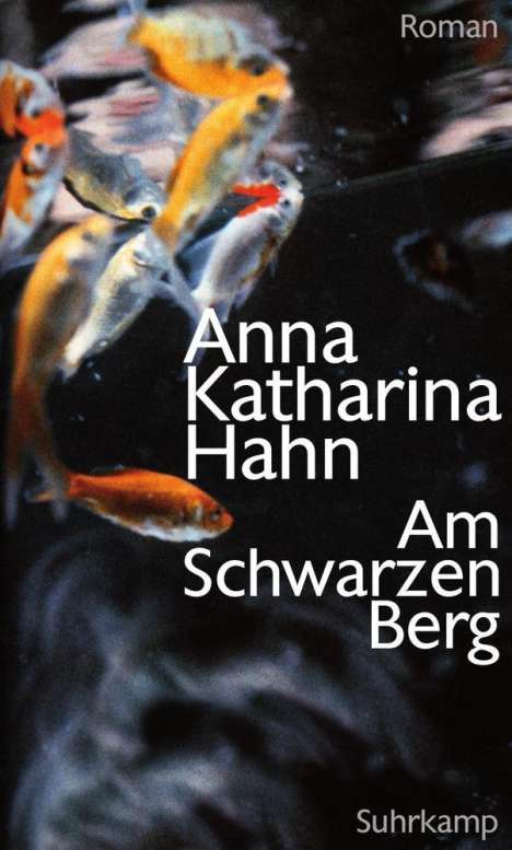 Anna K. Hahn: Am Schwarzen Berg, Buch