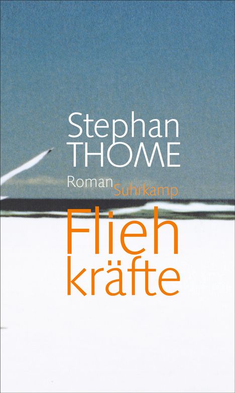 Stephan Thome: Fliehkräfte, Buch