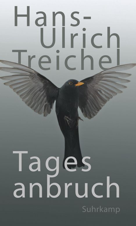 Hans-Ulrich Treichel: Tagesanbruch, Buch