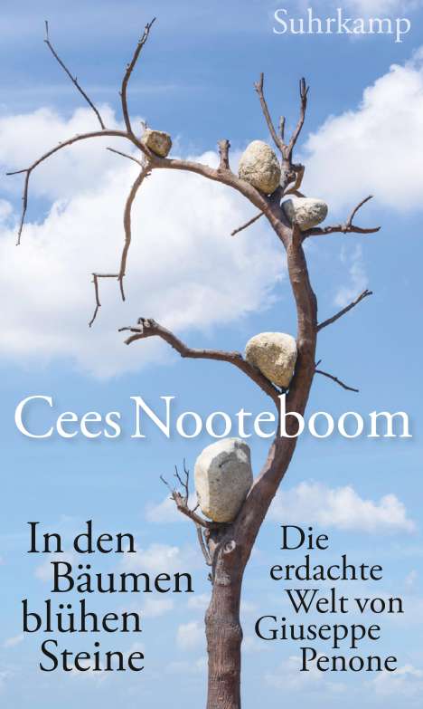 Cees Nooteboom: In den Bäumen blühen Steine, Buch