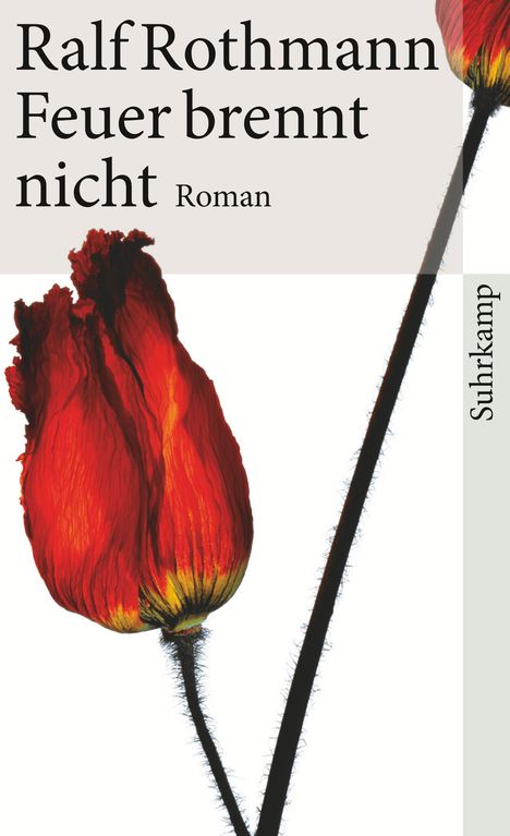 Ralf Rothmann: Feuer brennt nicht, Buch