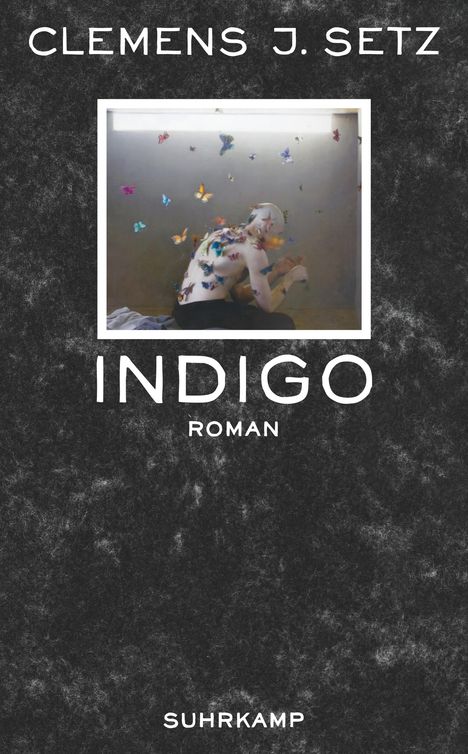 Clemens J. Setz: Indigo, Buch