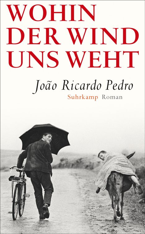 João R. Pedro: Pedro, J: Wohin der Wind uns weht, Buch