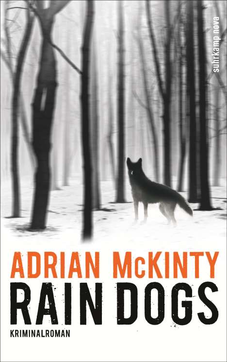 Adrian McKinty: Rain Dogs, Buch