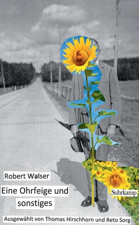 Robert Walser: Eine Ohrfeige und sonstiges, Buch