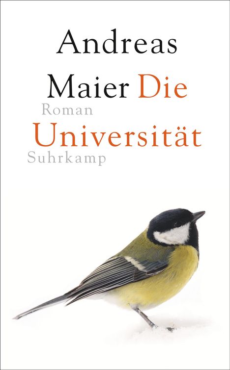 Andreas Maier: Die Universität, Buch