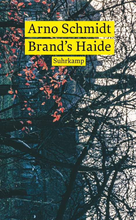 Arno Schmidt (geb. 1934): Brand's Haide, Buch