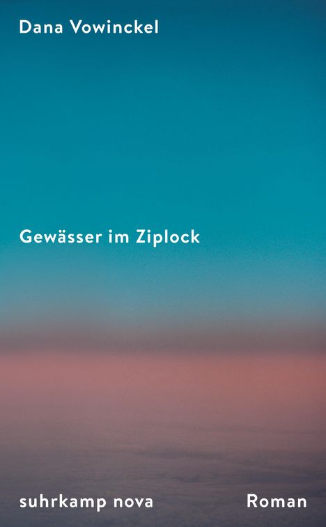 Dana Vowinckel: Gewässer im Ziplock, Buch